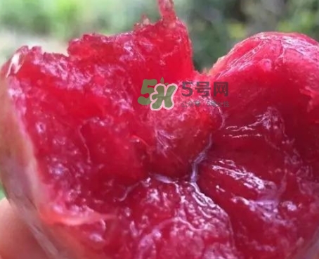 芙蓉李甜嗎？芙蓉李好吃嗎？