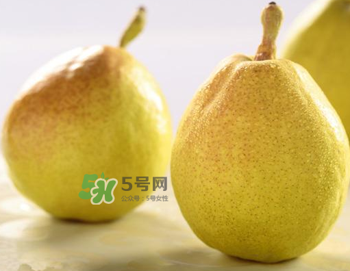 香梨能不能熬冰糖雪梨？香梨可以做冰糖雪梨嗎？