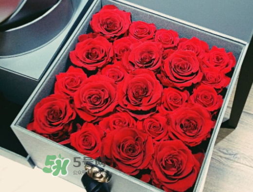 roseonly怎么買？roseonly如何買第二次？