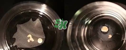 資生堂智能持久粉底液怎么樣？資生堂智能粉底液怎么用