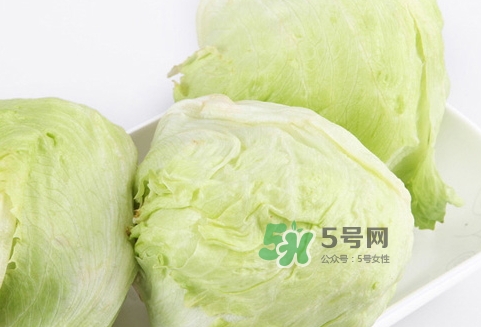 球生菜的營(yíng)養(yǎng)價(jià)值_球生菜的功效與作用及食用方法