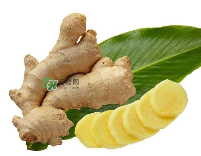 胃病患者可以長期食用生姜嗎？胃不好能不能吃姜？