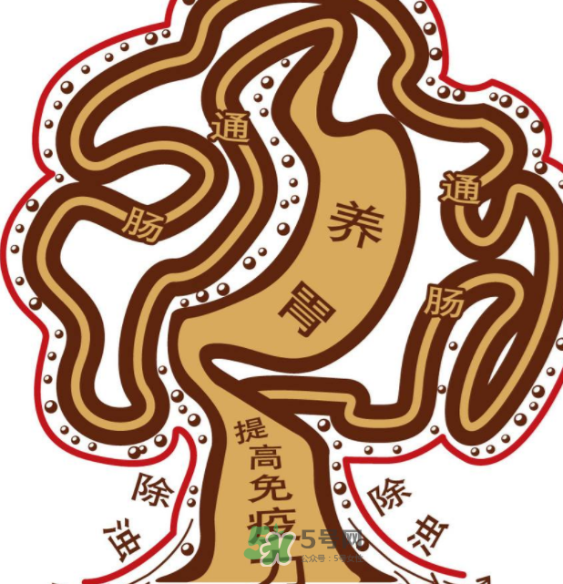 腸胃不好會引起頭暈嗎？頭暈與腸胃不好有關(guān)系嗎？