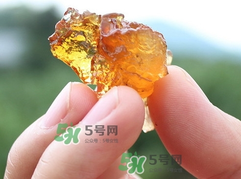 桃膠可以和什么一起煮？桃膠不能和什么一起吃