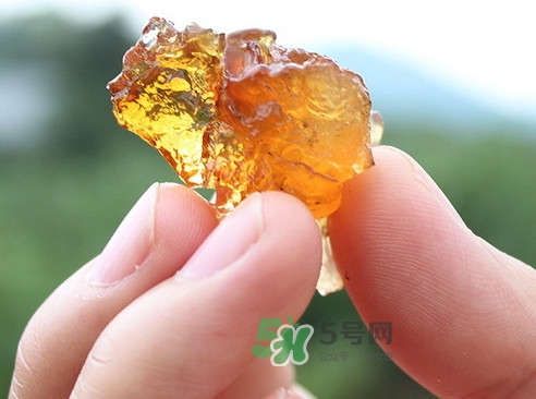 桃膠幾天吃一次好？桃膠最好多久吃一次