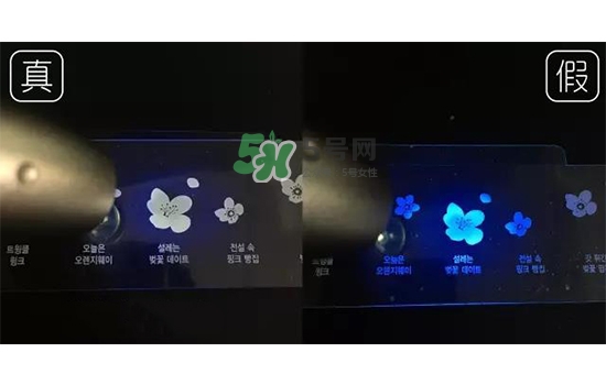 愛(ài)麗小屋櫻花盤(pán)真假怎么辨別_愛(ài)麗小屋櫻花盤(pán)真假對(duì)比圖