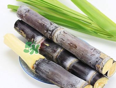 甘蔗什么時候成熟？甘蔗什么時候上市