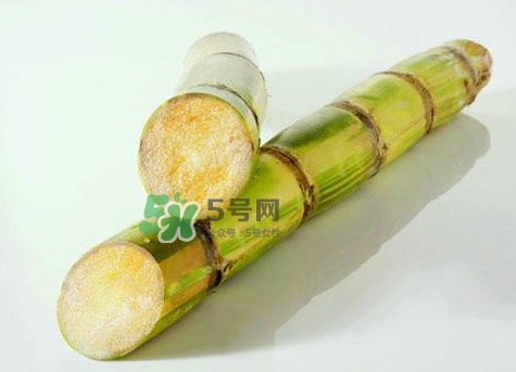 甘蔗是哪里的特產(chǎn)？甘蔗是什么地方的特產(chǎn)