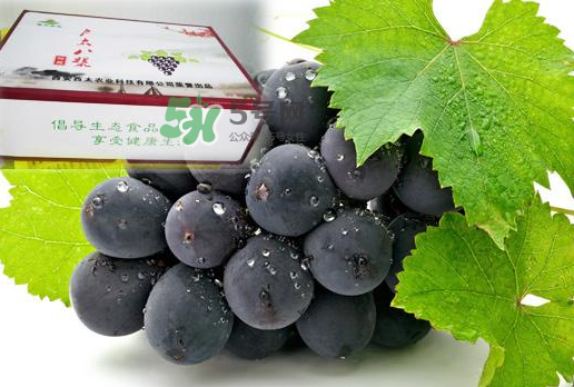戶太八號什么時候成熟？戶太八號幾月份成熟？