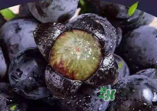 戶太八號多少錢一斤？戶太八號為什么在全國很有名？
