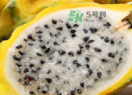 黃龍果的熱量 黃龍果可以減肥嗎？