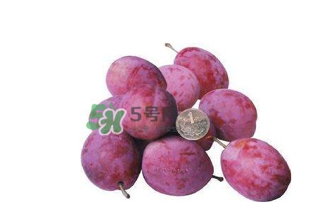 新鮮西梅好吃嗎？新鮮西梅什么味道