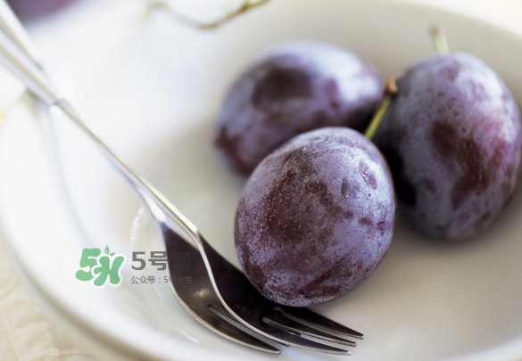 西梅怎么挑選？新鮮西梅怎么保存