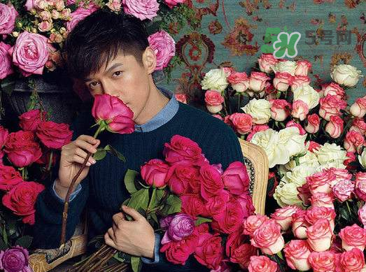 野獸派和roseonly哪個好？野獸派和roseonly區(qū)別