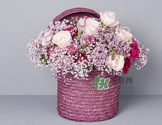 野獸派和roseonly哪個好？野獸派和roseonly區(qū)別
