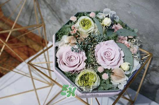 野獸派永生花會(huì)死嗎？野獸派永生花是什么？