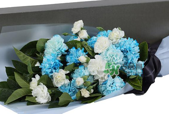 joyflower是哪國(guó)品牌？joyflower怎么樣？