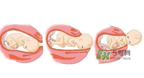 胎兒什么時候入盆？胎兒入盆后胎動會減少嗎？