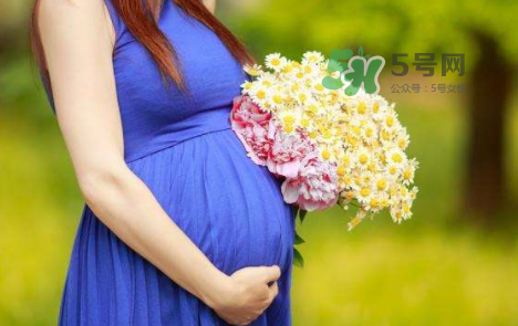 孕婦可以拔牙嗎？孕婦可以拔智齒嗎？