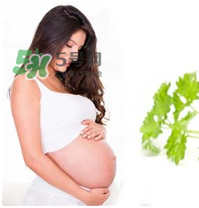 孕婦可以拔牙嗎？孕婦可以拔智齒嗎？