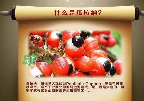 黑卡飲料多少錢一瓶？黑卡6小時價格表