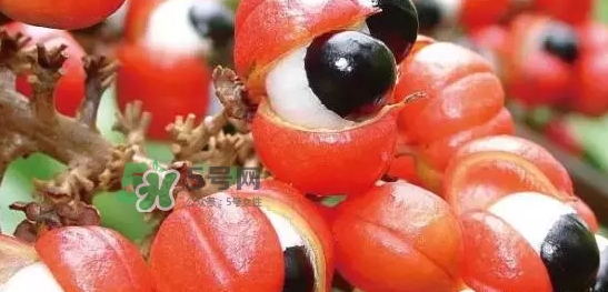 黑卡飲料多少錢一瓶？黑卡6小時價格表