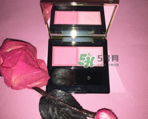 cpb花漾腮紅怎么樣？cpb花漾腮紅多少錢？