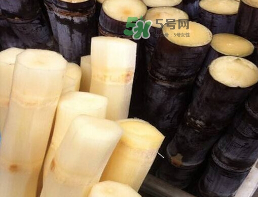 甘蔗是哪里的特產(chǎn)？甘蔗是什么地方的特產(chǎn)