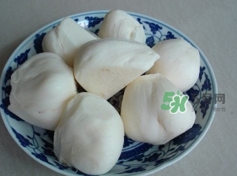 涼薯是什么東西？涼薯是地瓜嗎？