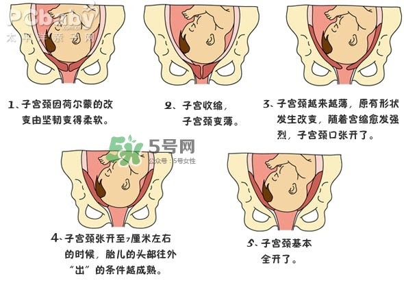 生孩子的過(guò)程是怎樣的？生孩子的真實(shí)過(guò)程