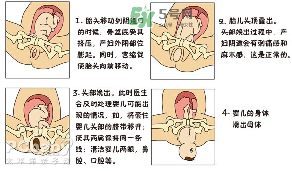 生孩子的過(guò)程是怎樣的？生孩子的真實(shí)過(guò)程