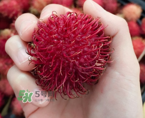 紅毛丹是什么水果？紅毛丹是熱性水果嗎？