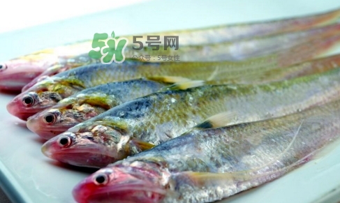 刁子魚是秋刀魚嗎？刁子魚是海魚嗎？