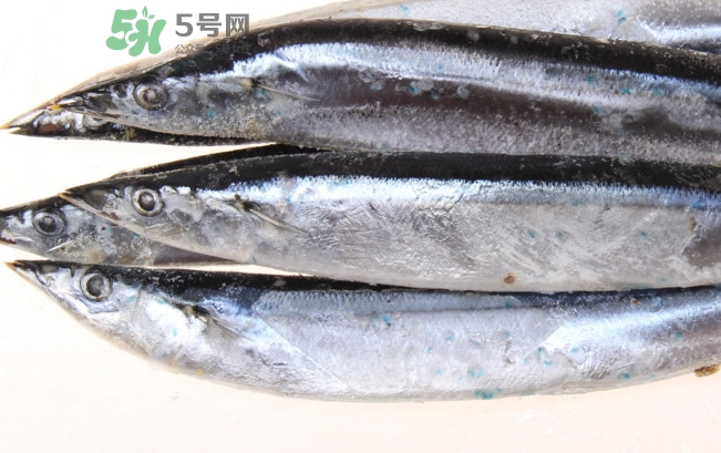 秋刀魚是海魚嗎？秋刀魚是淡水魚還是海魚