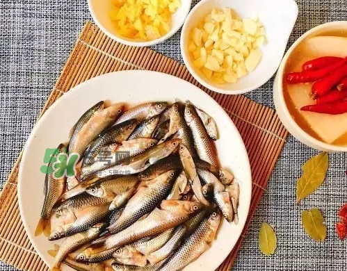 刁子魚多少錢一斤？刁子魚價(jià)格表
