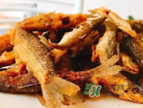 刁子魚多少錢一斤？刁子魚價(jià)格表