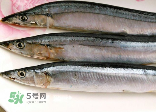 秋刀魚是不是鲅魚？秋刀魚和鲅魚的區(qū)別