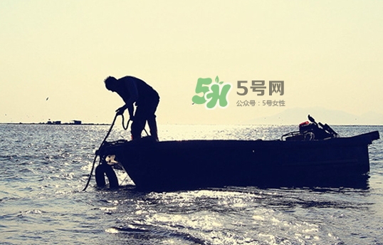 剝皮魚孕婦可以吃嗎？懷孕可以吃剝皮魚嗎？