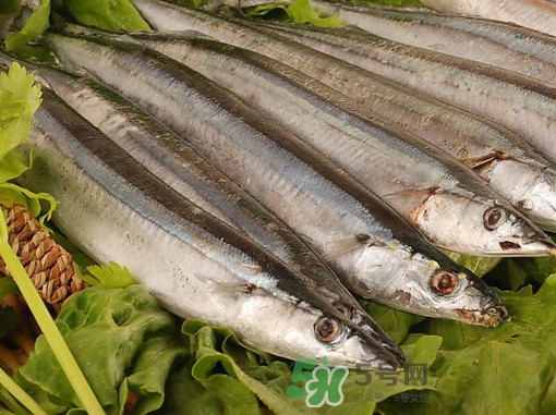 秋刀魚為什么那么便宜？秋刀魚為什么叫秋刀魚