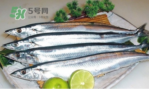 沙丁魚和秋刀魚有什么不一樣？秋刀魚和沙丁魚的區(qū)別