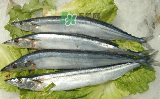 秋刀魚為什么那么便宜？秋刀魚為什么叫秋刀魚
