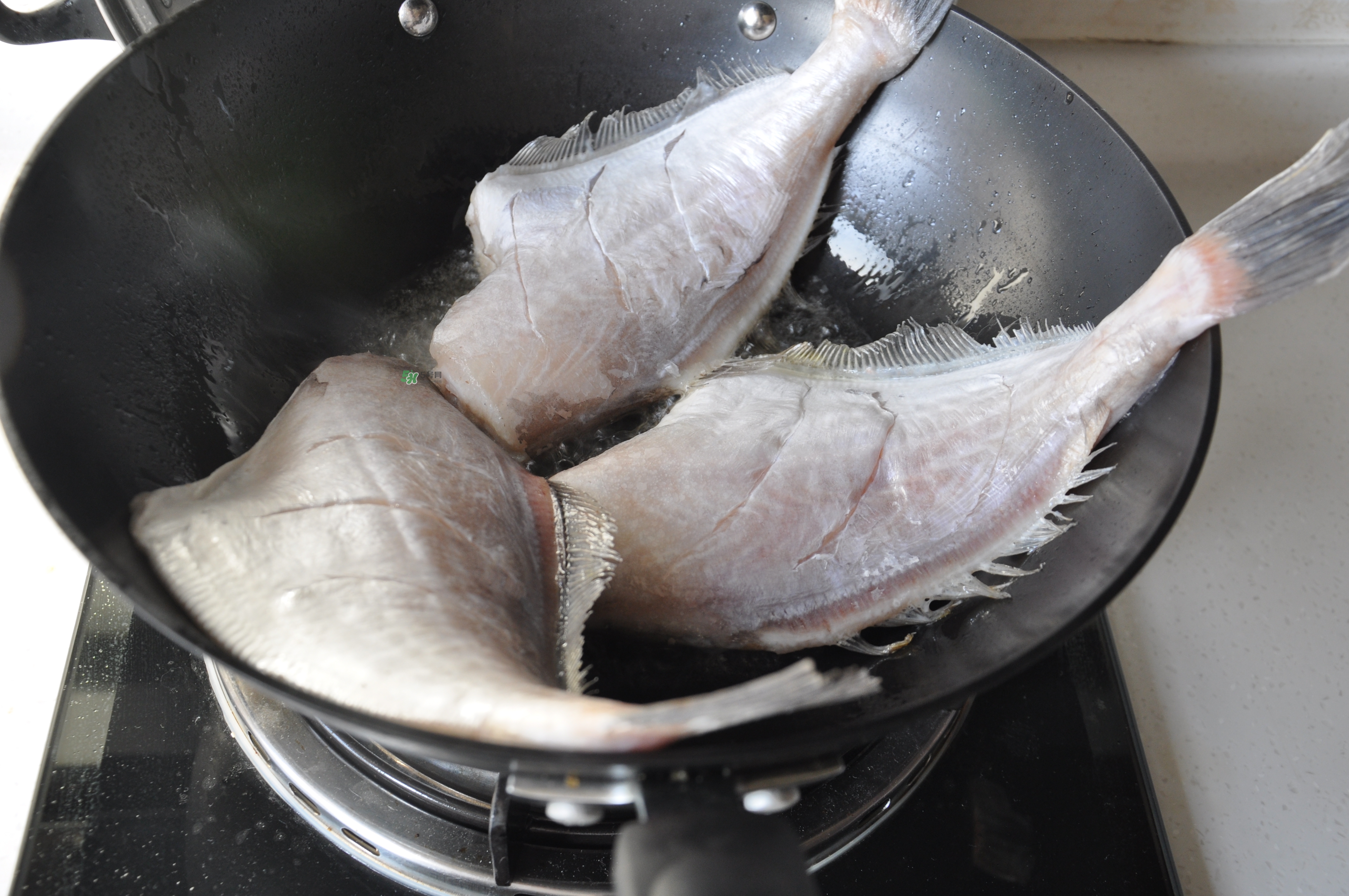 剝皮魚孕婦可以吃嗎？懷孕可以吃剝皮魚嗎？