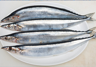秋刀魚是海魚嗎？秋刀魚是淡水魚還是海魚