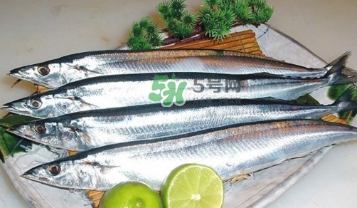 秋刀魚是刀魚嗎？秋刀魚和刀魚的區(qū)別