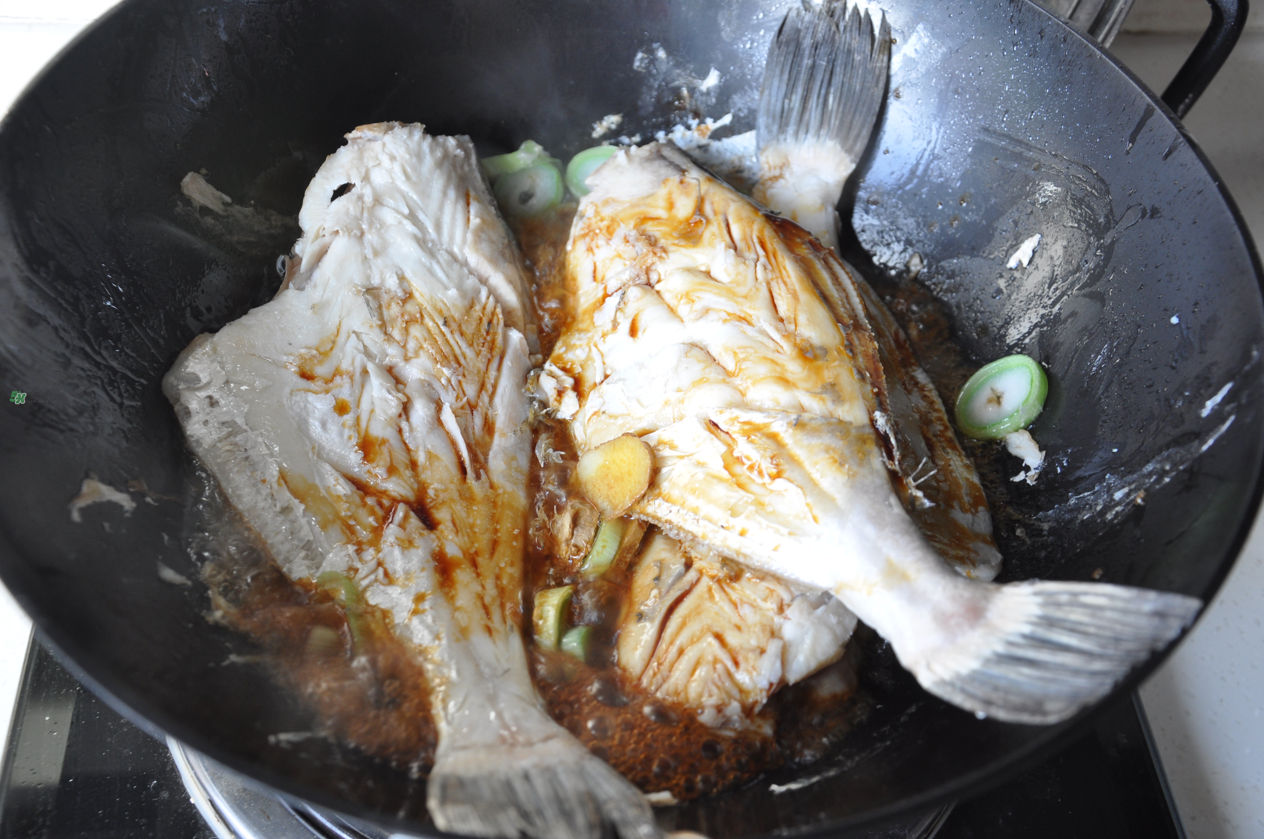 剝皮魚孕婦可以吃嗎？懷孕可以吃剝皮魚嗎？