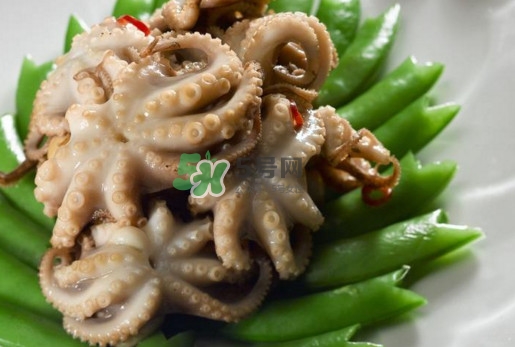 八爪魚的頭能吃嗎？八爪魚的頭里面是什么