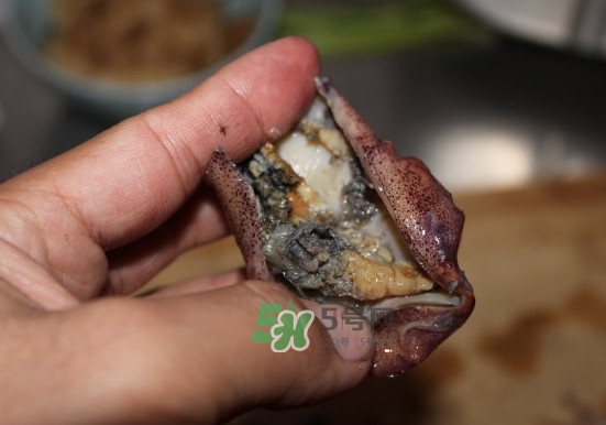 筆管魚怎么清洗？筆管魚怎么處理