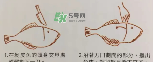 剝皮魚為什么要剝皮？剝皮魚的皮有毒嗎？