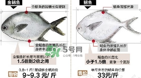 金鯧魚是海魚嗎？金鯧魚的刺多嗎？