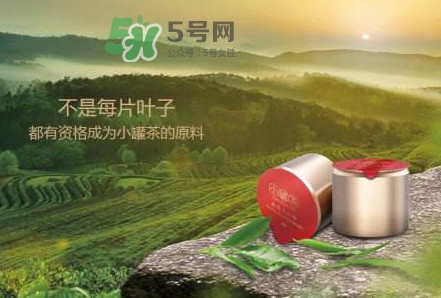 小罐茶是什么茶？小罐茶是哪八種茶？